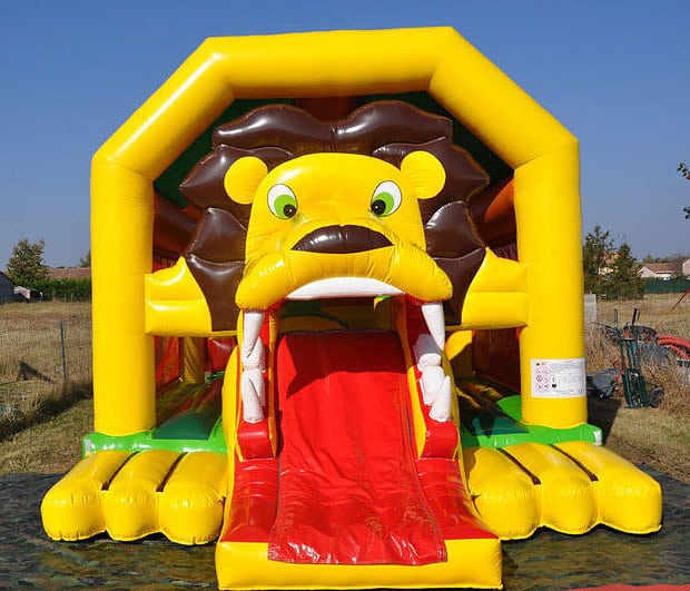 Château lion