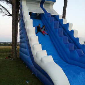 toboggan géant des mers gonflable