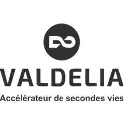 logo-valdelia